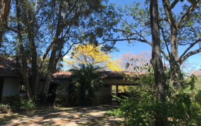 Spacious Home in Alajuela